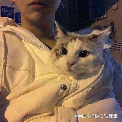 猴子保龄球